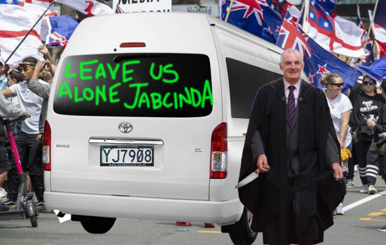 Trevor Mallard allegedly slashing tyres