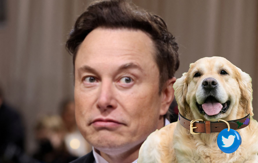 Elon Musk with Twitter dog in the foreground.