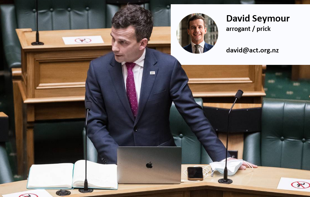 David seymour in parliament with his arrogant/prick pronouns.
