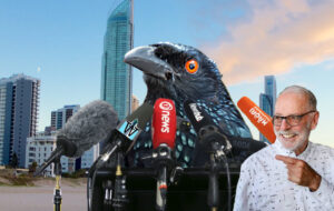 drongo bird giving press conference with wayne brown in foreground