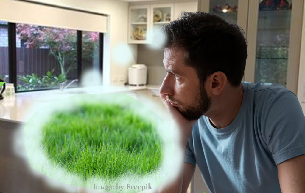 man looking out window thinking about grass