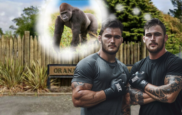 two fighters outside orana park thinking of gorilla
