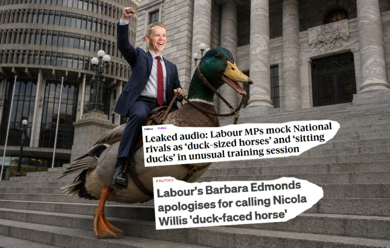 Chris Hipkins riding duck on parliament steps.